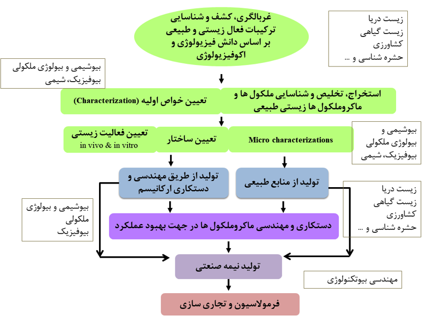 About Bioactive compounds
