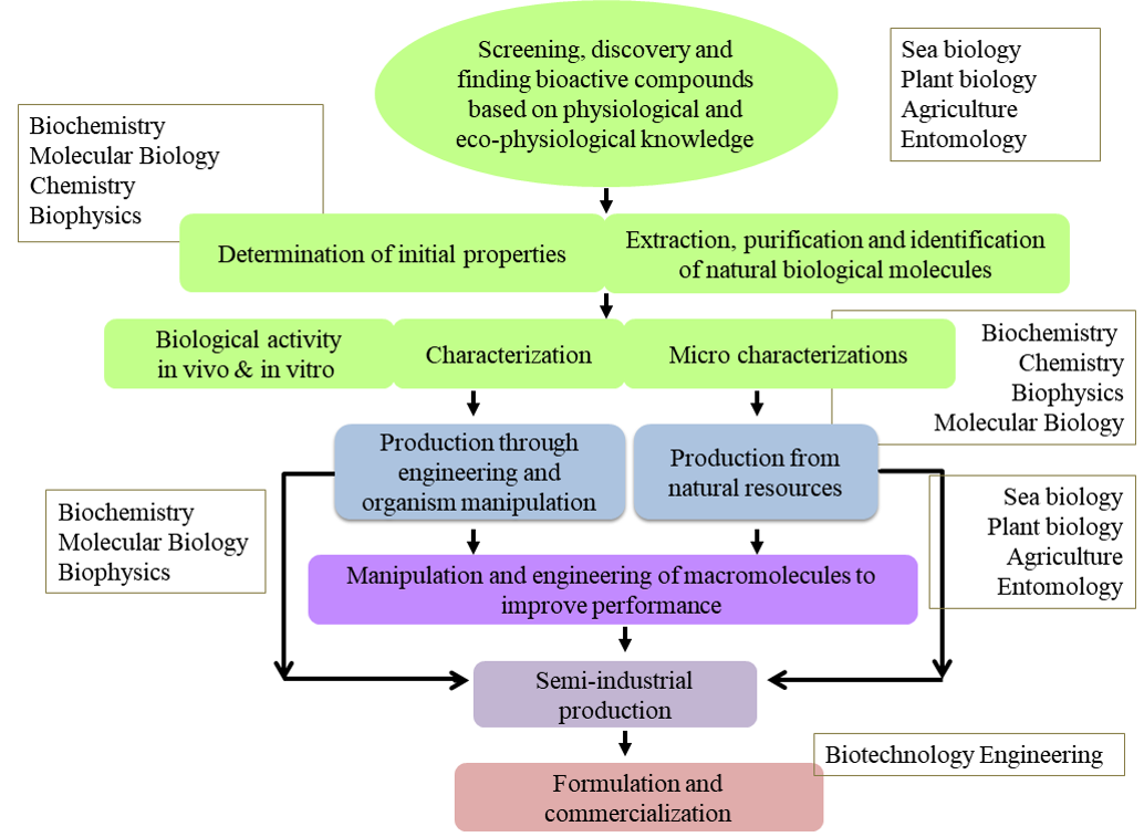 About Bioactive compounds
